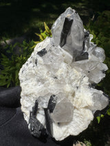 Black Tourmaline & Quartz - 726g
