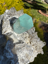 Aquamarine Specimen - 480g