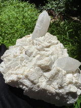 Quartz Specimen - 5.26lb