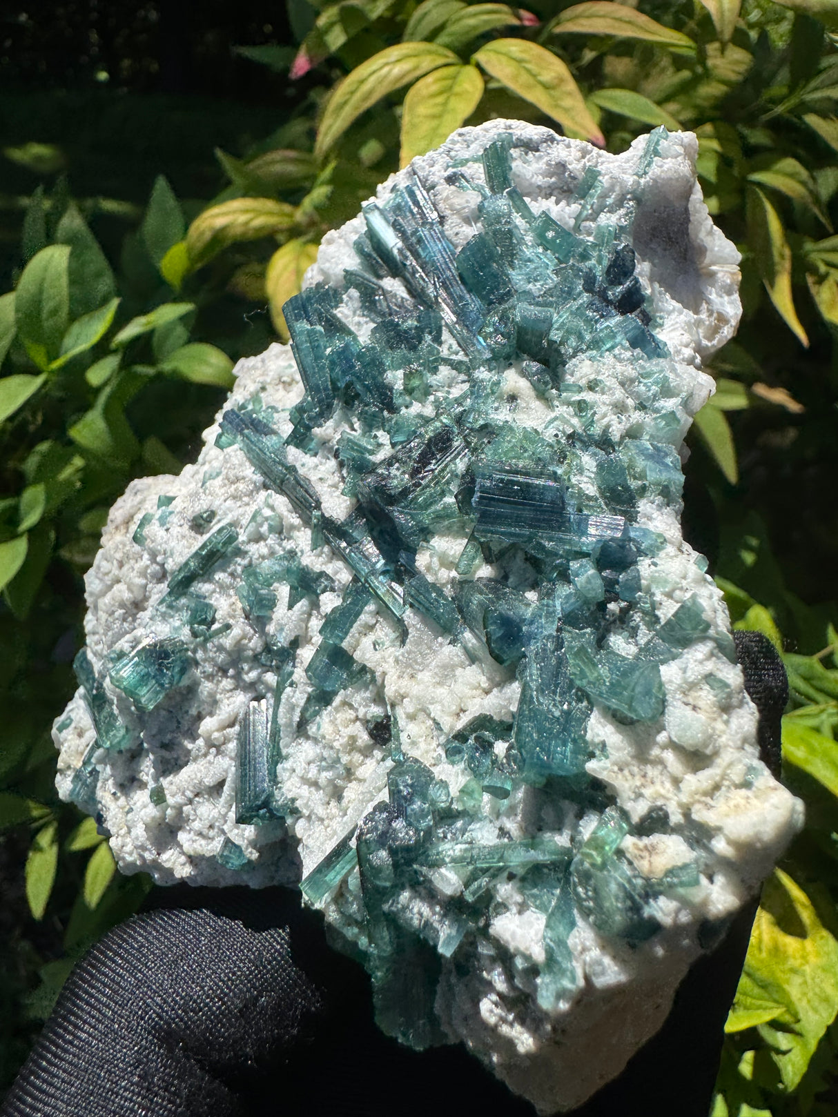 Blue Indocolite Tourmaline - 1.34lb