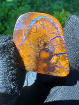 Australia Opal - 39ct