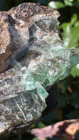 Emerald Specimen - 43g