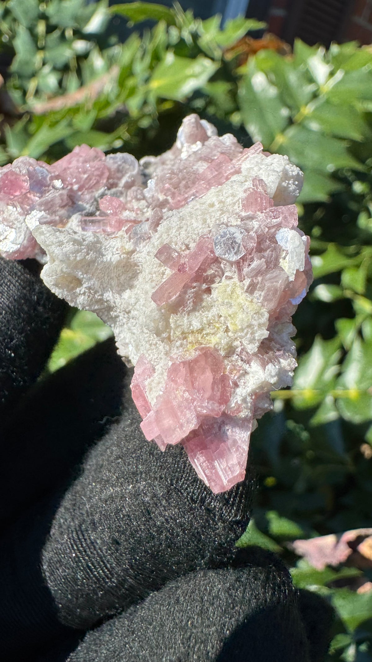 Tourmaline Specimen - 51g