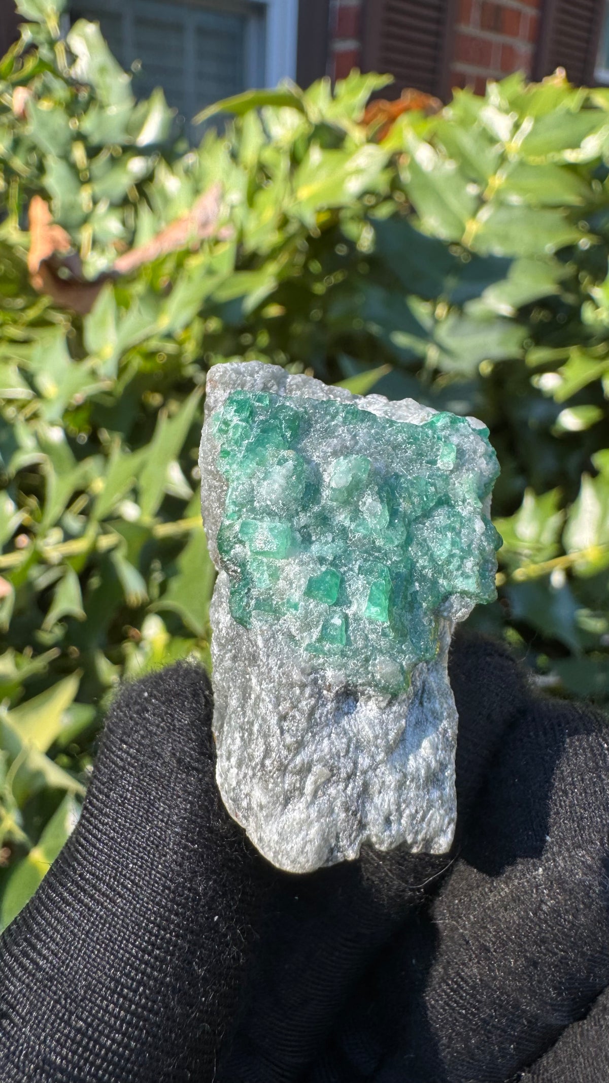 Emerald Specimen - 39g