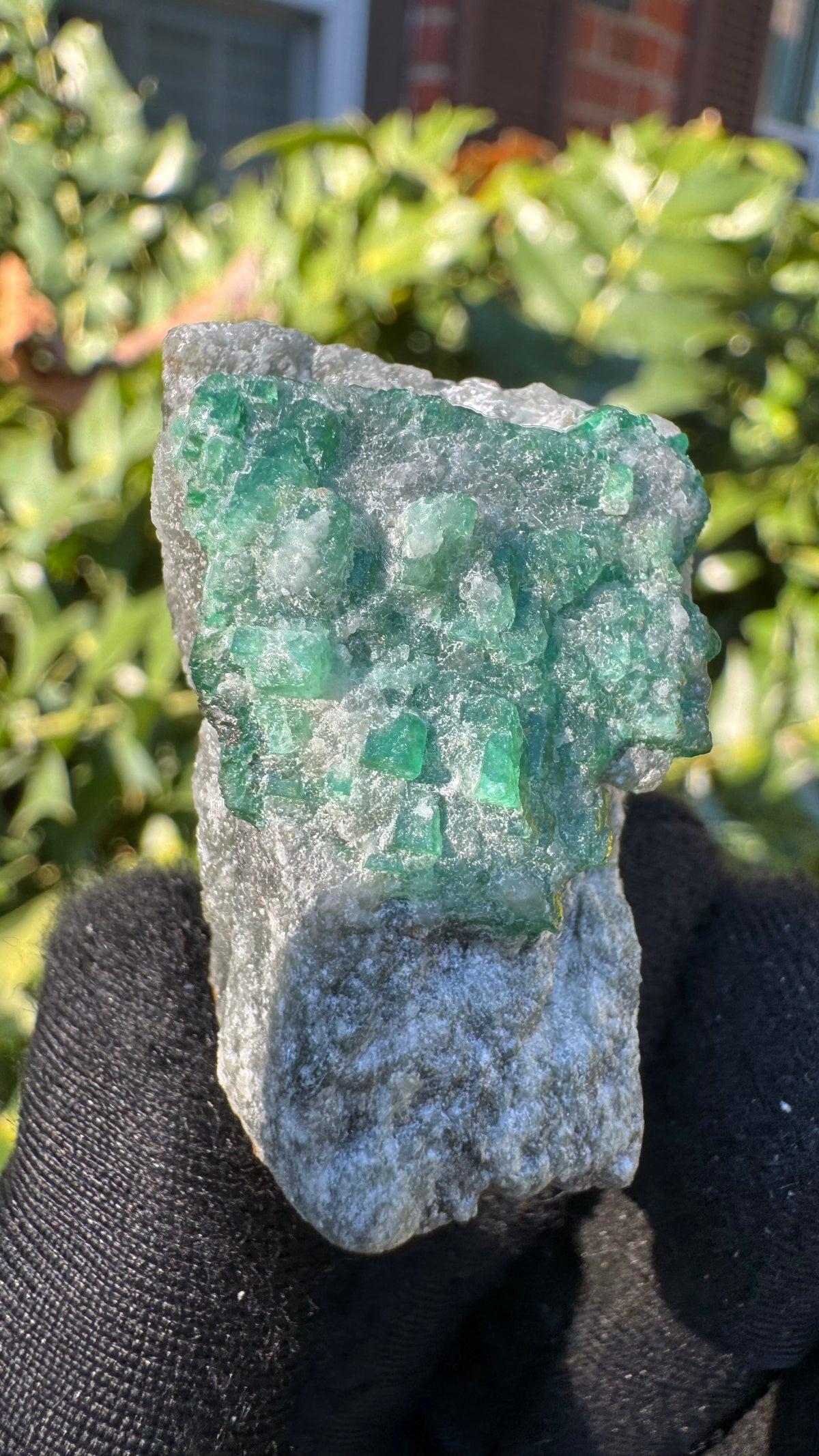 Emerald Specimen - 39g