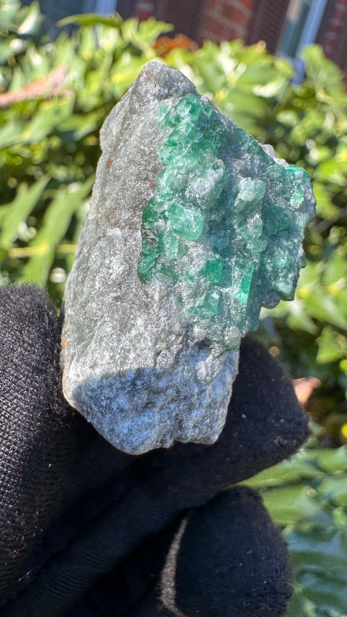 Emerald Specimen - 39g