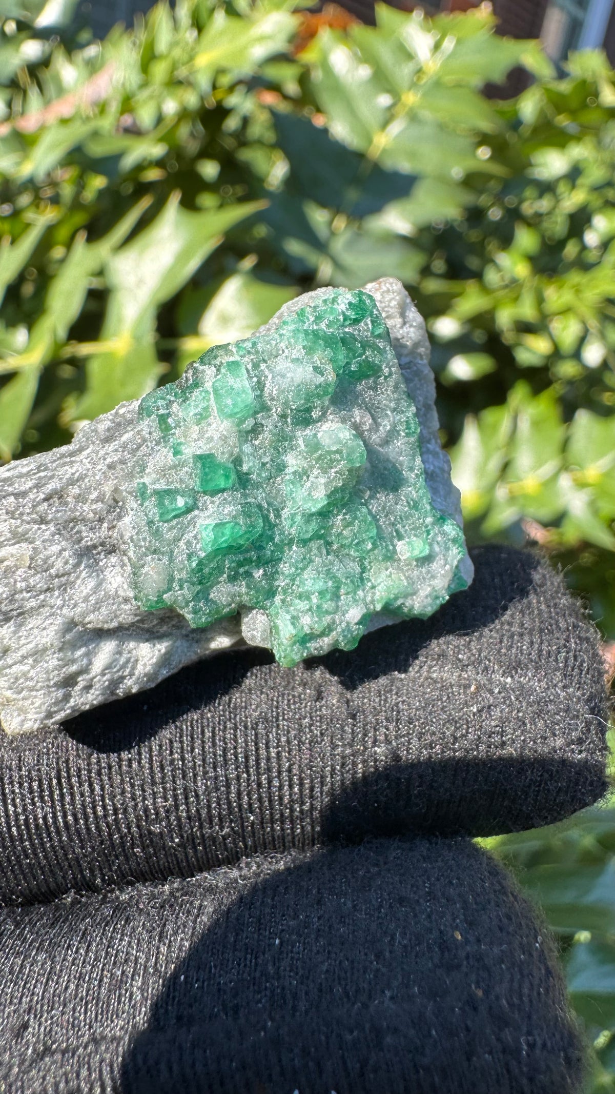 Emerald Specimen - 39g