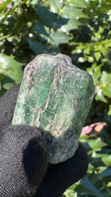 Zambian Emerald Specimen - 40g