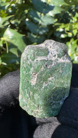 Zambian Emerald Specimen - 40g