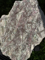 Tourmaline Specimen - 2.789lb