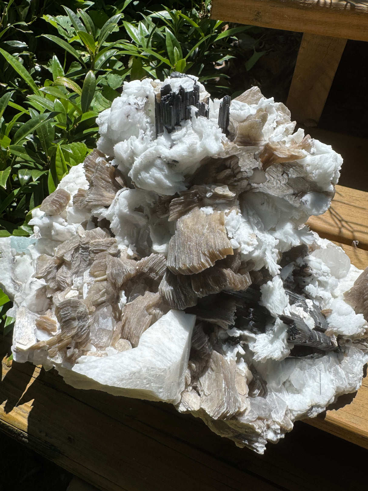 Black Tourmaline & Aquamarine/Quartz Combo Specimen - 14.96lb