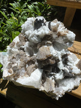 Black Tourmaline & Aquamarine/Quartz Combo Specimen - 14.96lb