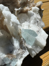 Black Tourmaline & Aquamarine/Quartz Combo Specimen - 14.96lb