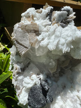 Black Tourmaline & Aquamarine/Quartz Combo Specimen - 14.96lb