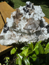 Black Tourmaline & Aquamarine/Quartz Combo Specimen - 14.96lb