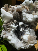 Black Tourmaline & Aquamarine/Quartz Combo Specimen - 14.96lb