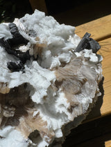 Black Tourmaline & Aquamarine/Quartz Combo Specimen - 14.96lb