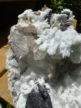 Black Tourmaline & Aquamarine/Quartz Combo Specimen - 14.96lb