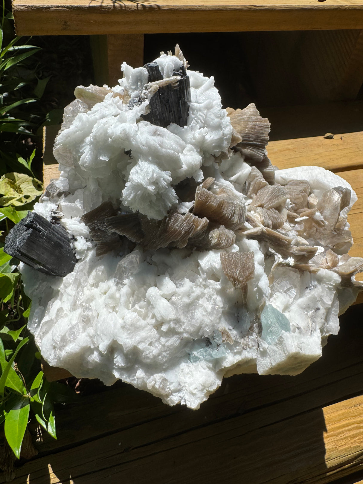Black Tourmaline & Aquamarine/Quartz Combo Specimen - 14.96lb