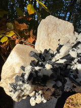 Feldspar and Black Tourmaline Specimen - 5.6lb
