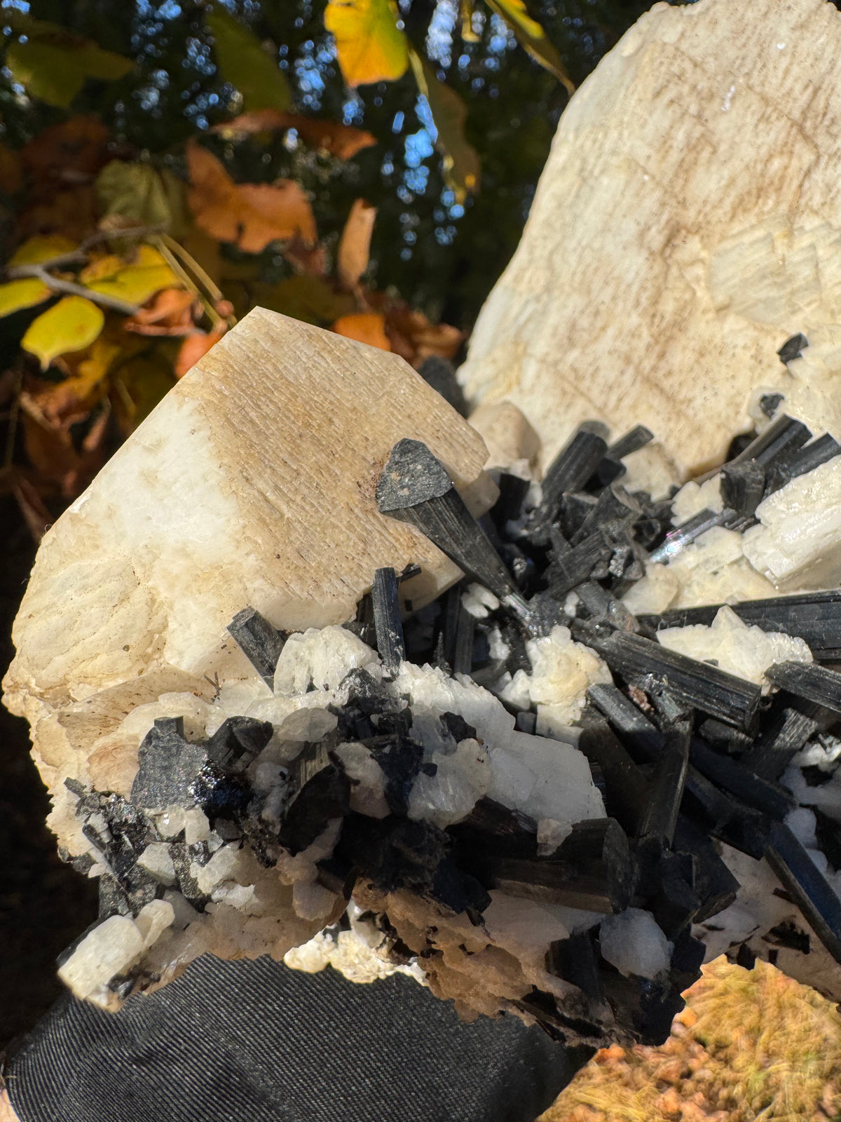 Feldspar and Black Tourmaline Specimen - 5.6lb