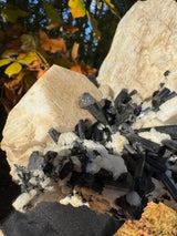Feldspar and Black Tourmaline Specimen - 5.6lb