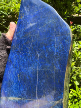 Lapis Lazuli Free Form Polished - 11.44lb