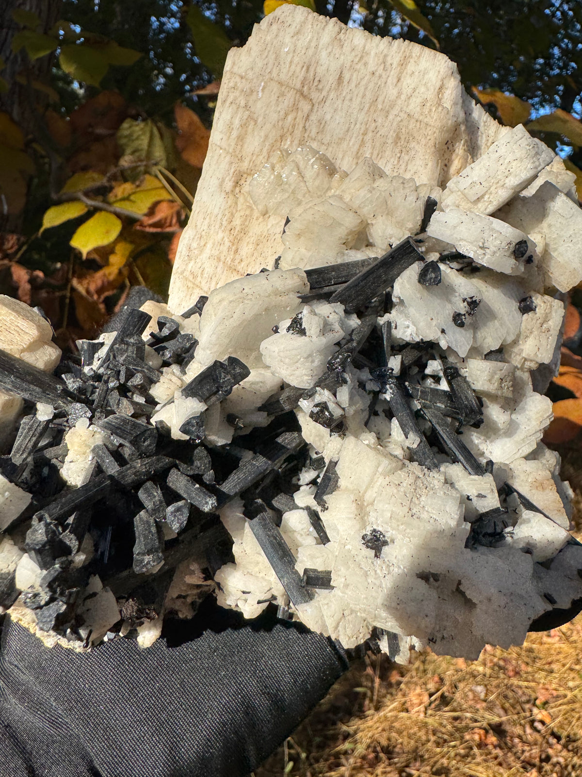 Feldspar and Black Tourmaline Specimen - 5.6lb