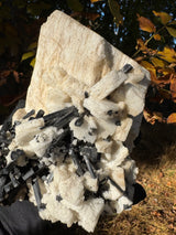 Feldspar and Black Tourmaline Specimen - 5.6lb