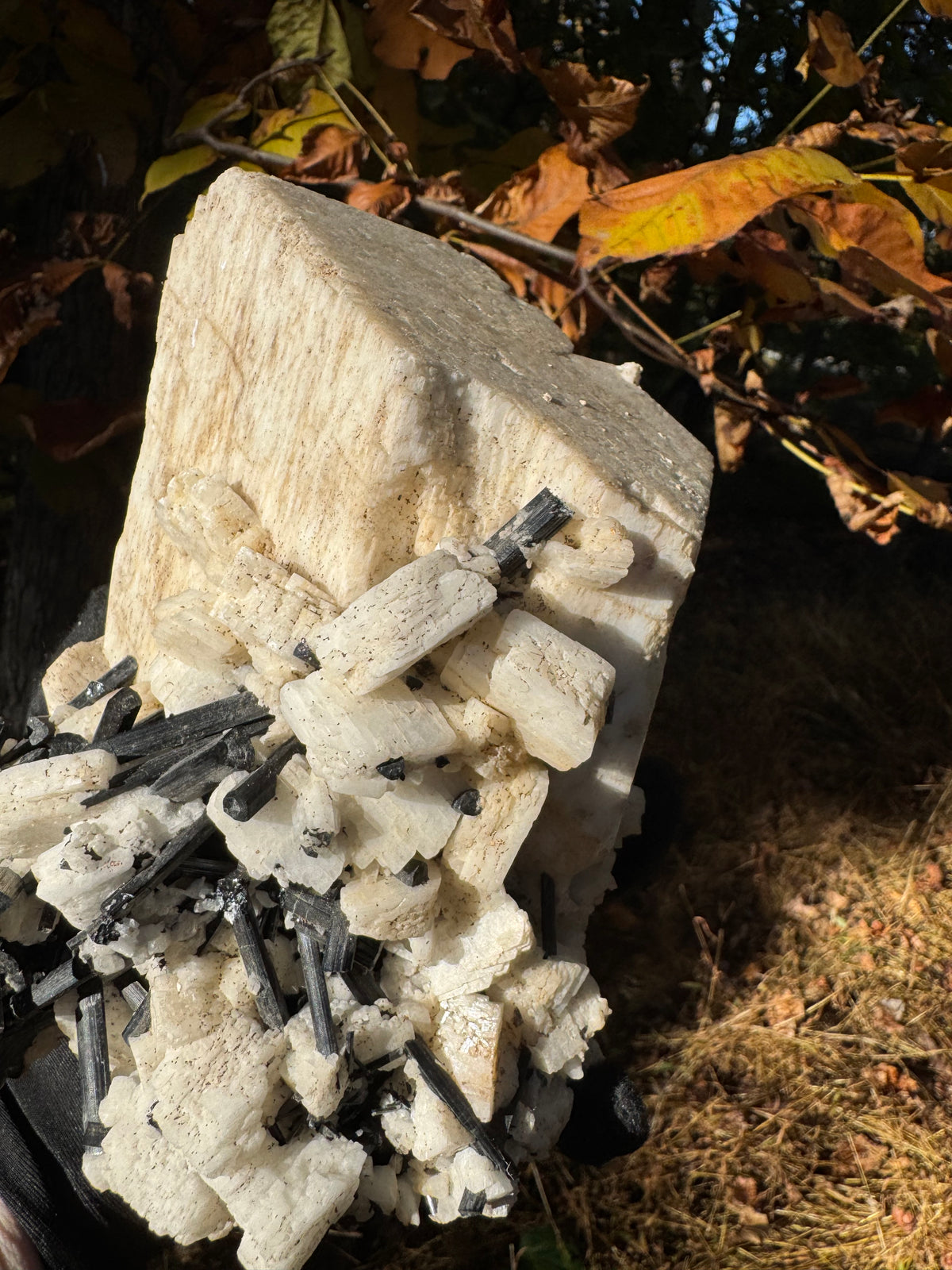 Feldspar and Black Tourmaline Specimen - 5.6lb