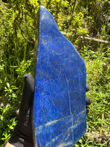 Lapis Lazuli Free Form Polished - 11.44lb