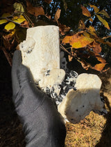 Feldspar and Black Tourmaline Specimen - 5.6lb