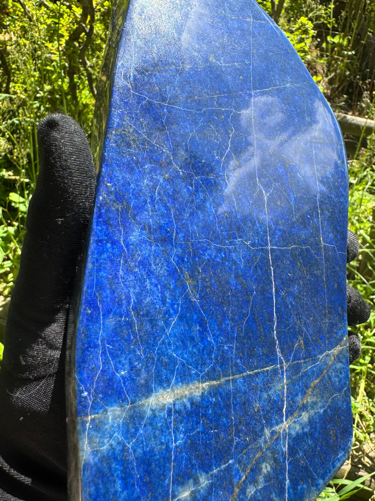 Lapis Lazuli Free Form Polished - 11.44lb