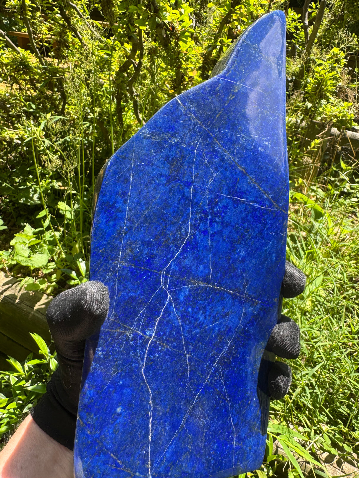 Lapis Lazuli Free Form Polished - 11.44lb
