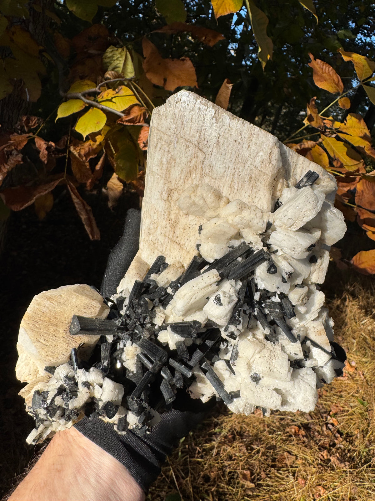 Feldspar and Black Tourmaline Specimen - 5.6lb