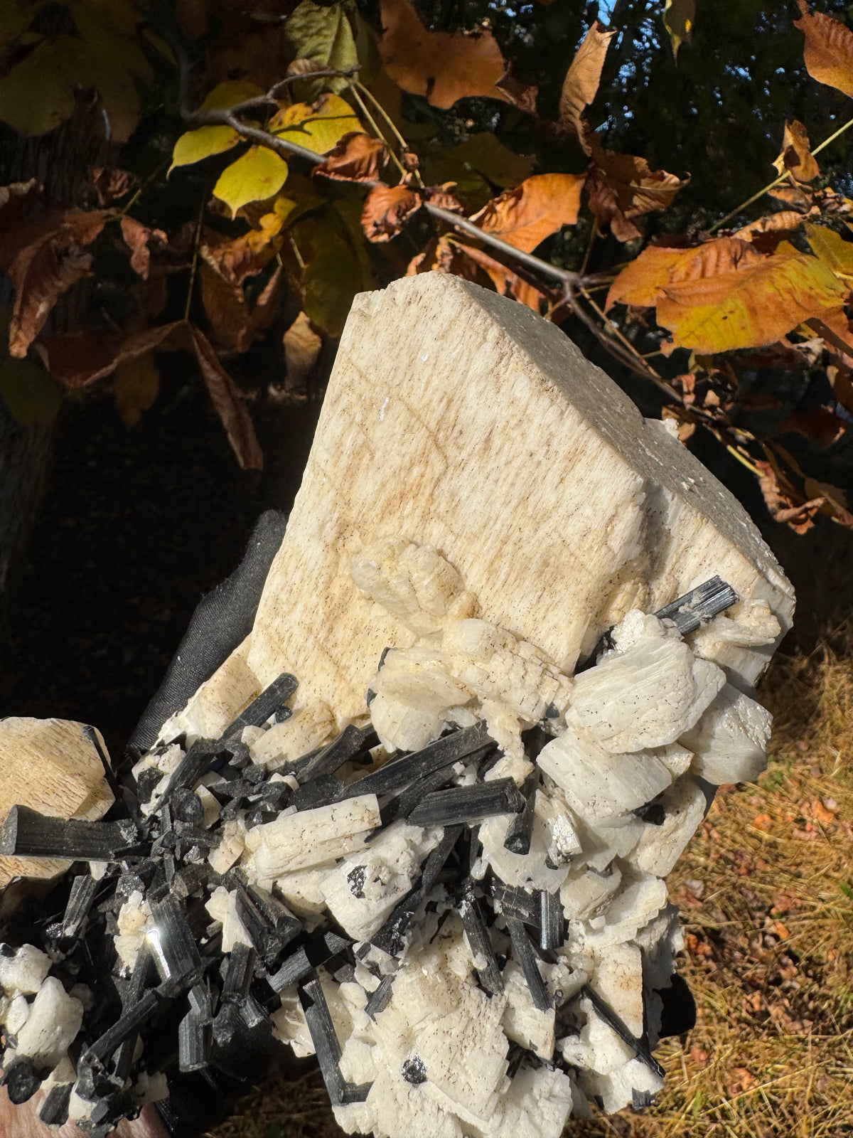 Feldspar and Black Tourmaline Specimen - 5.6lb
