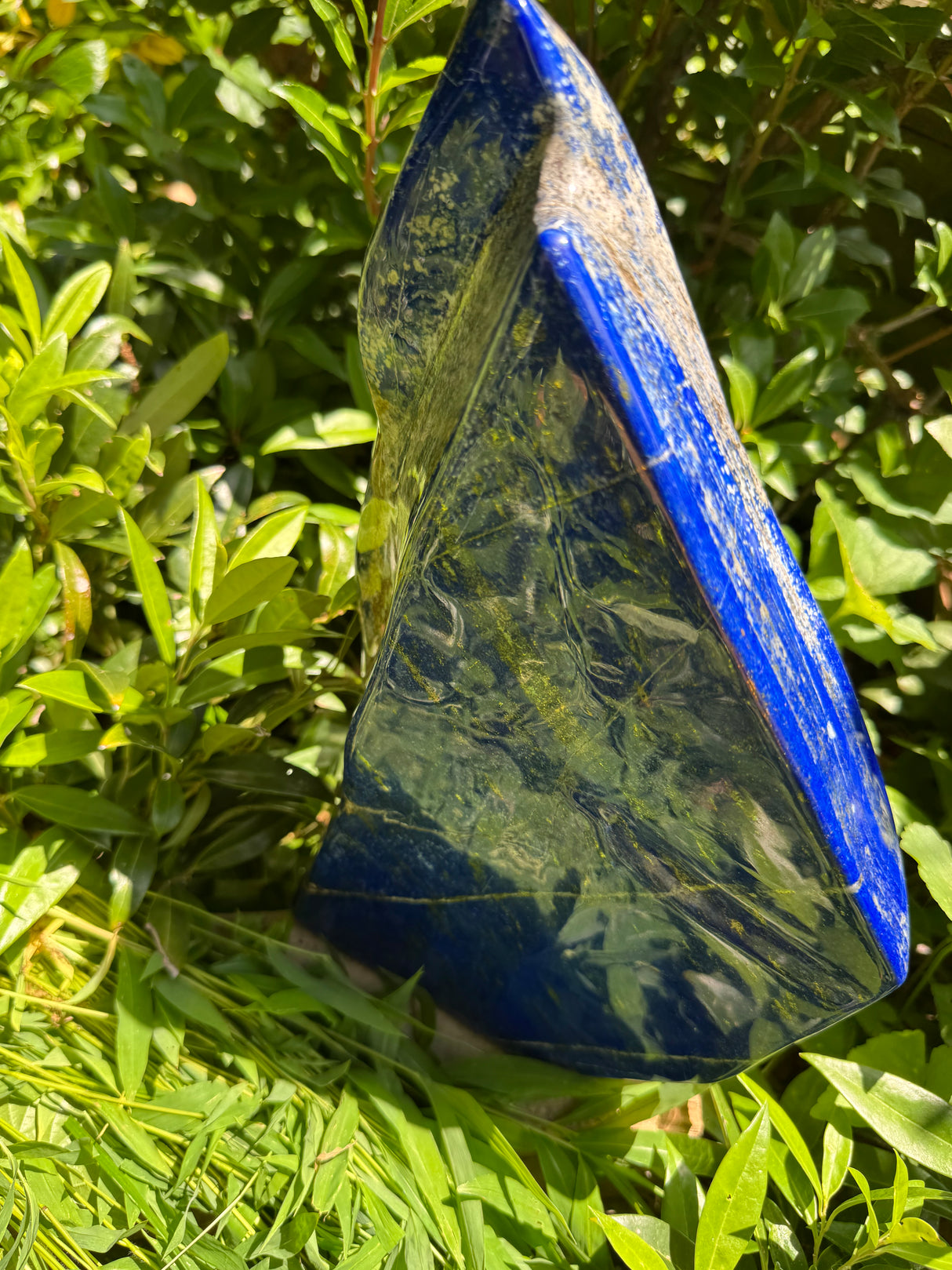 Lapis Lazuli Free Form Polished - 16lb
