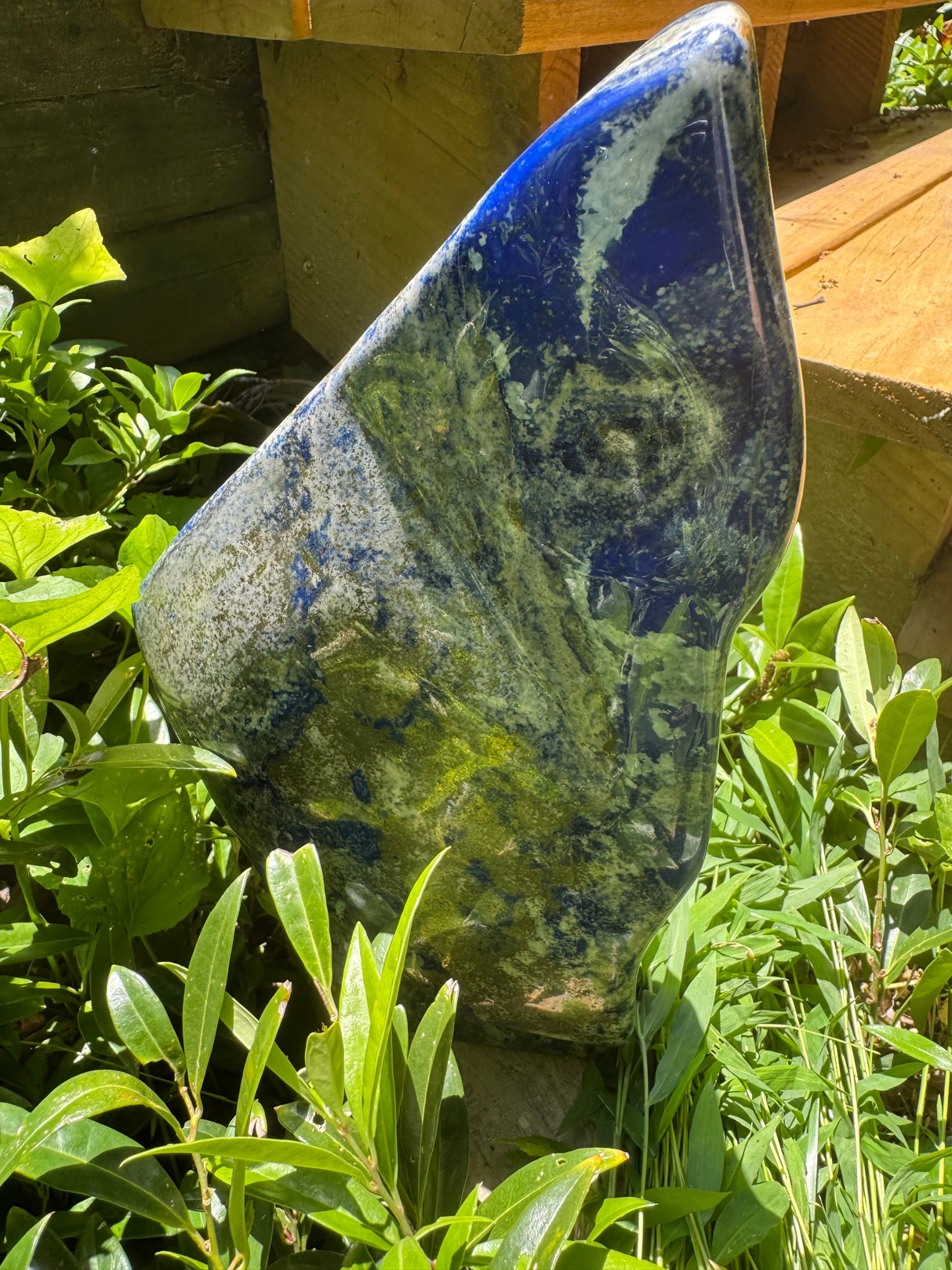Lapis Lazuli Free Form Polished - 16lb