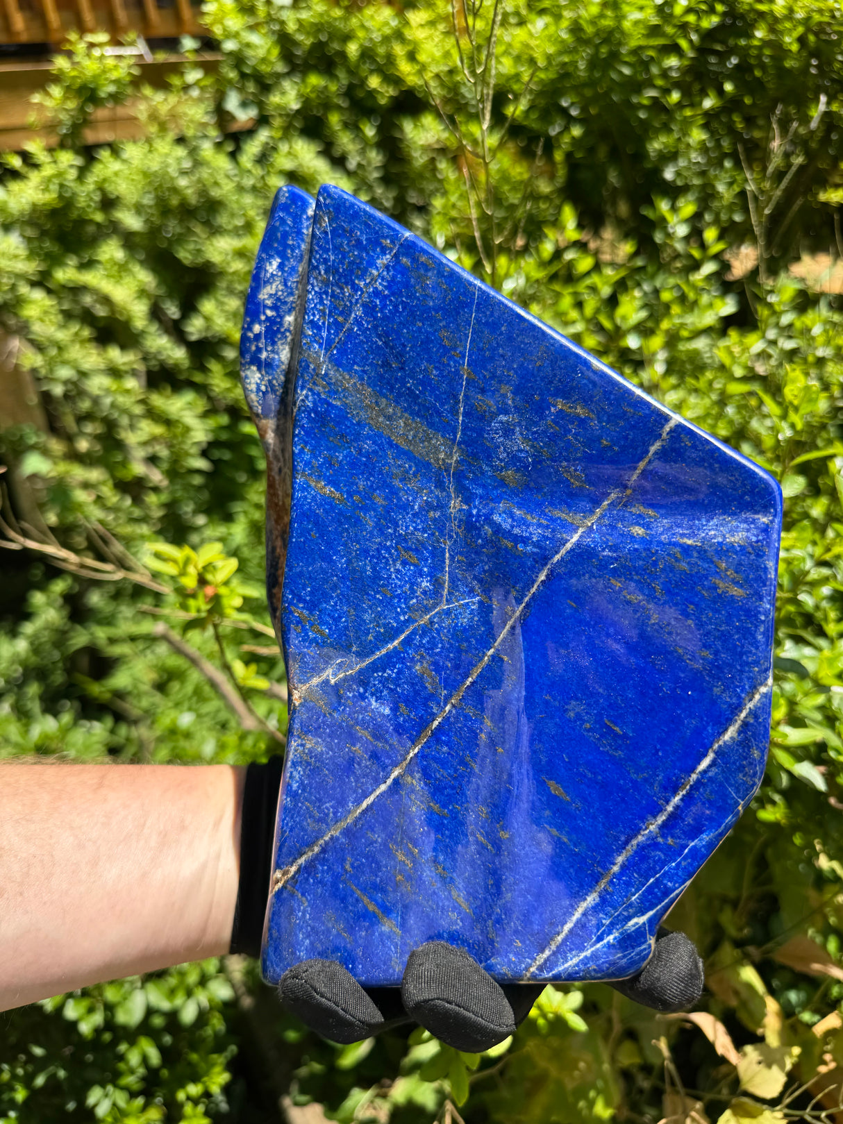 Lapis Lazuli Free Form Polished - 16lb