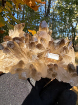 Smoky Quartz Specimen - 310g