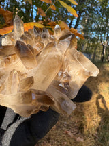 Smoky Quartz Specimen - 310g