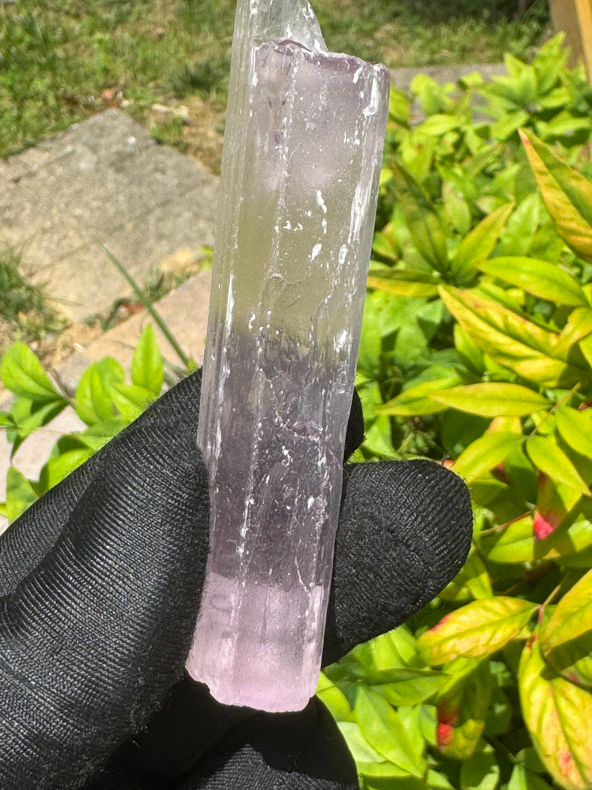 Kunzite Crystals - 53g