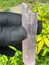 Kunzite Crystals - 53g