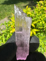 Kunzite Crystals - 29g