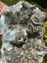 Aquamarine Specimen - 2001g