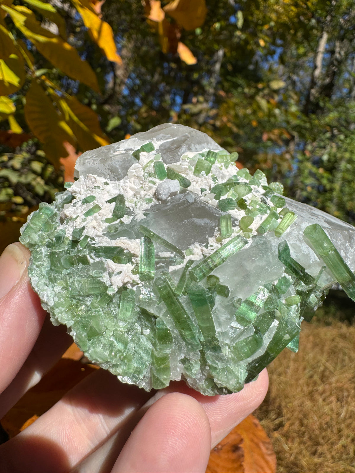 Green Tourmaline Specimen - 295g
