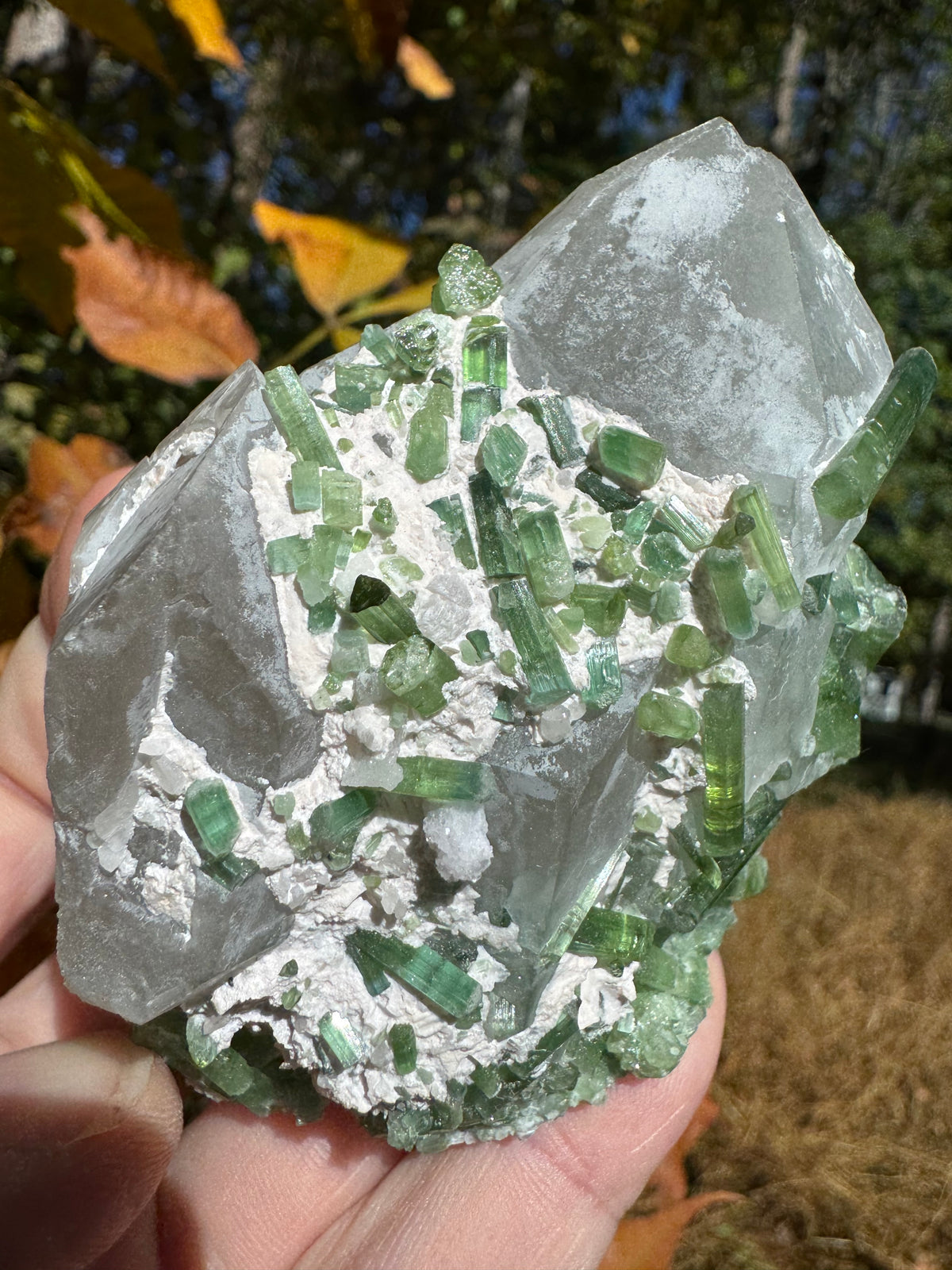 Green Tourmaline Specimen - 295g
