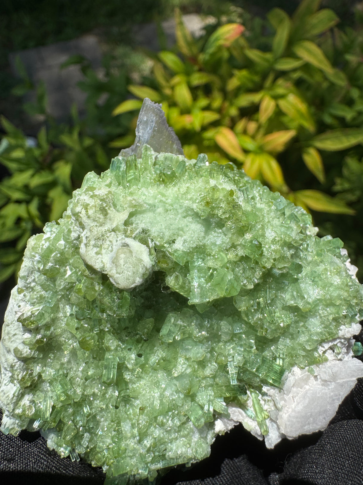Kunzite and Tourmaline Specimen - 205g