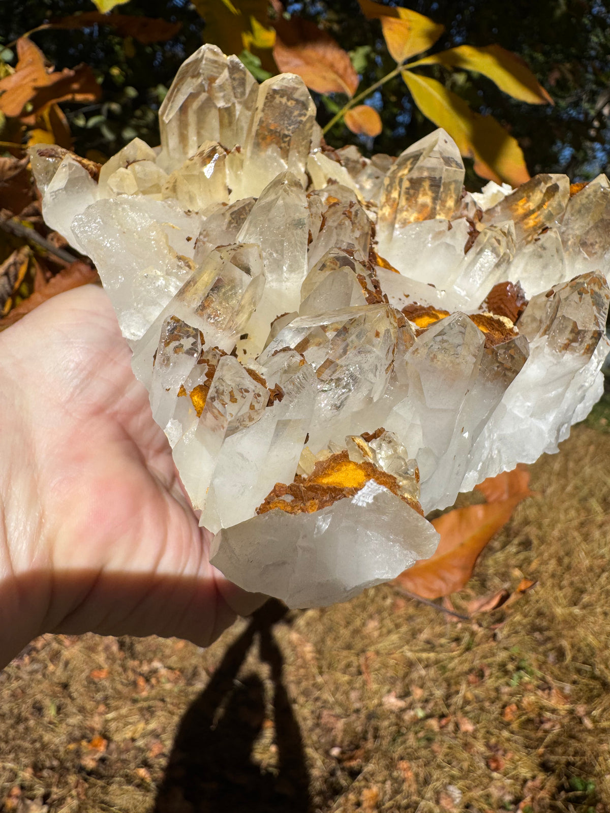 Quartz Specimen - 1241g