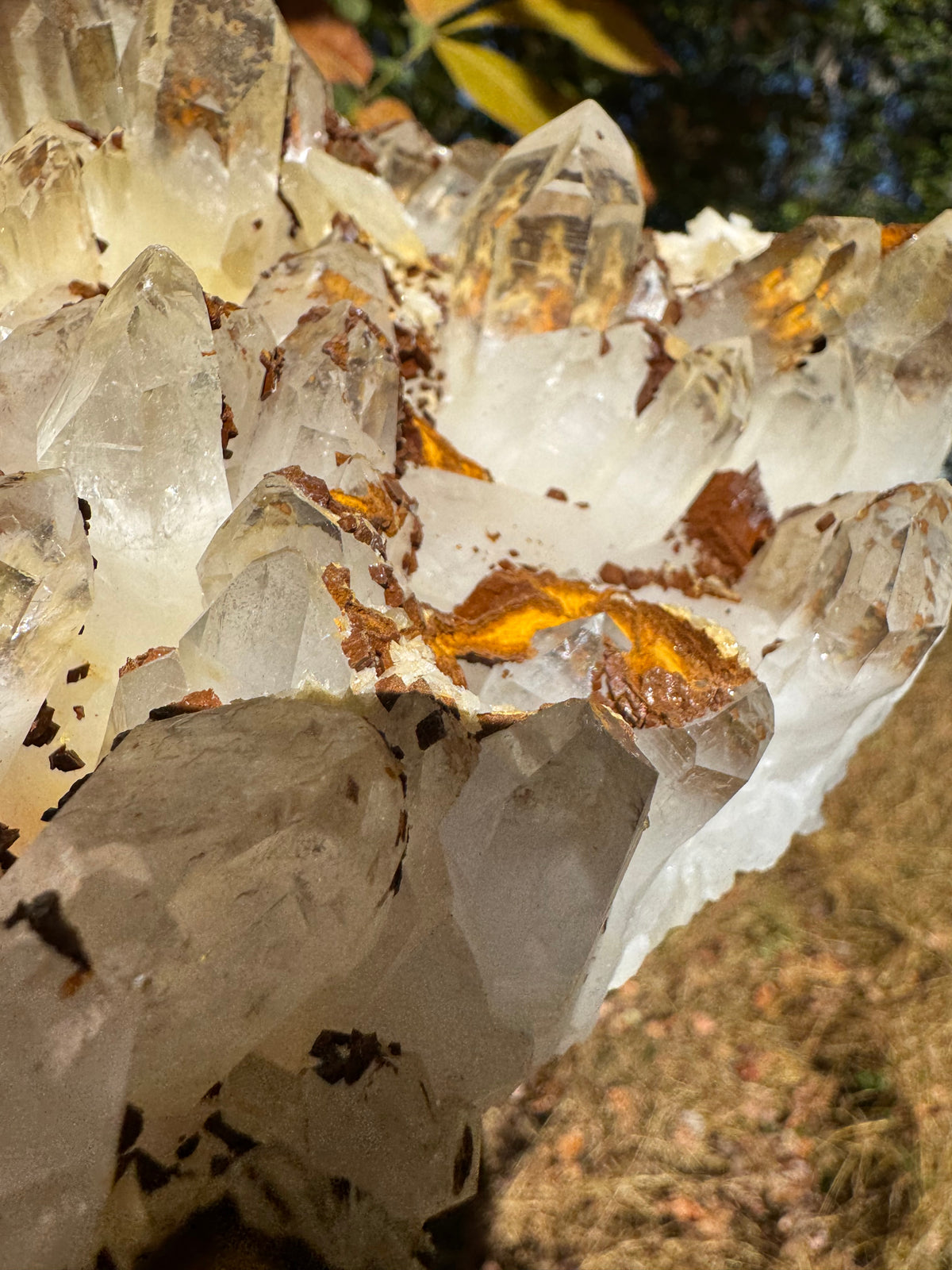 Quartz Specimen - 1241g